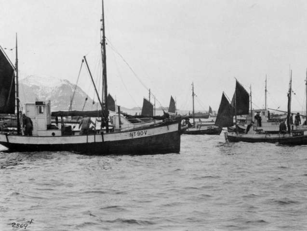Anders Beer Wilse, -7372