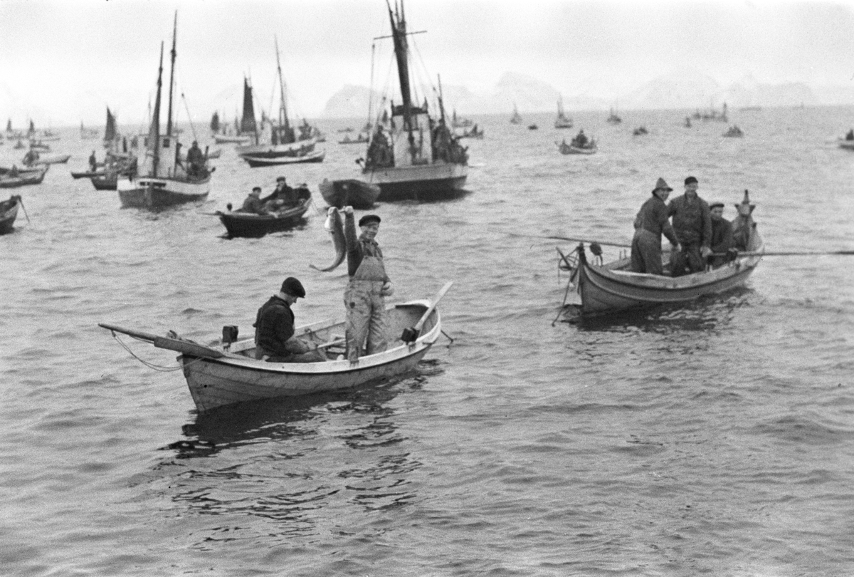 Anders Beer Wilse, prot: Fisken trekkes