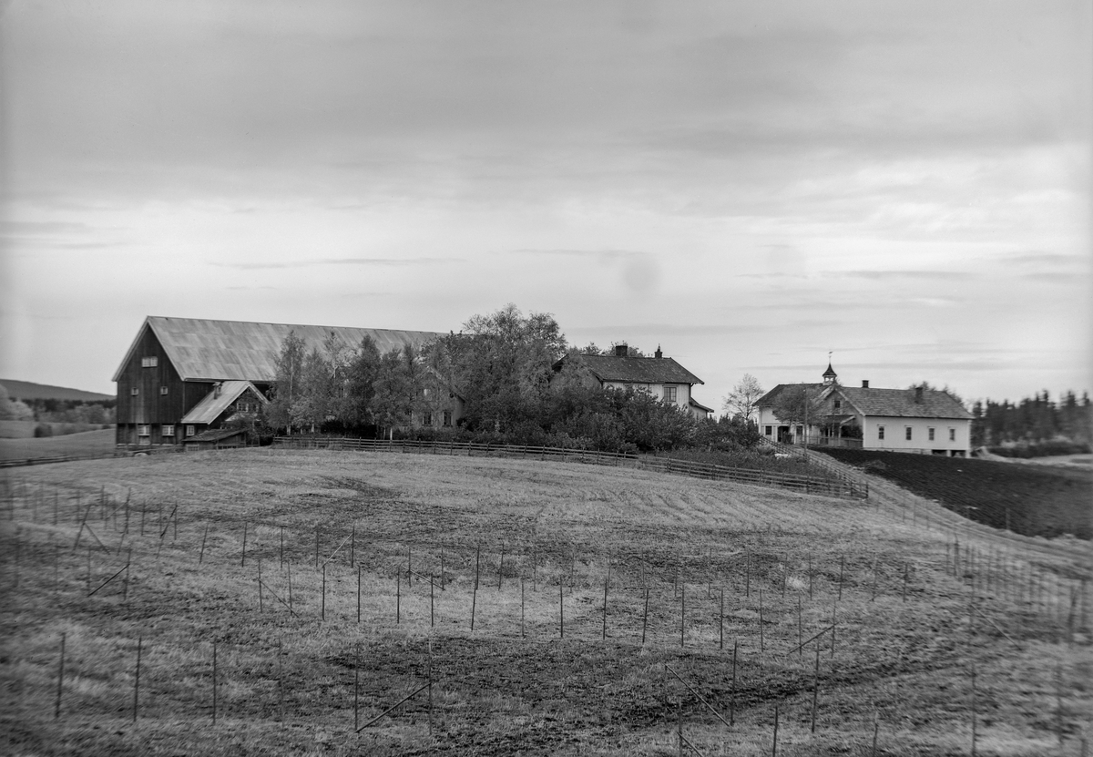 Anno Domkirkeodden, EKSTR: GARDSTUN, STAFSENG, LØTEN. Se Løtenboka, bind 1. Bygdeboka fra 1949, side 594