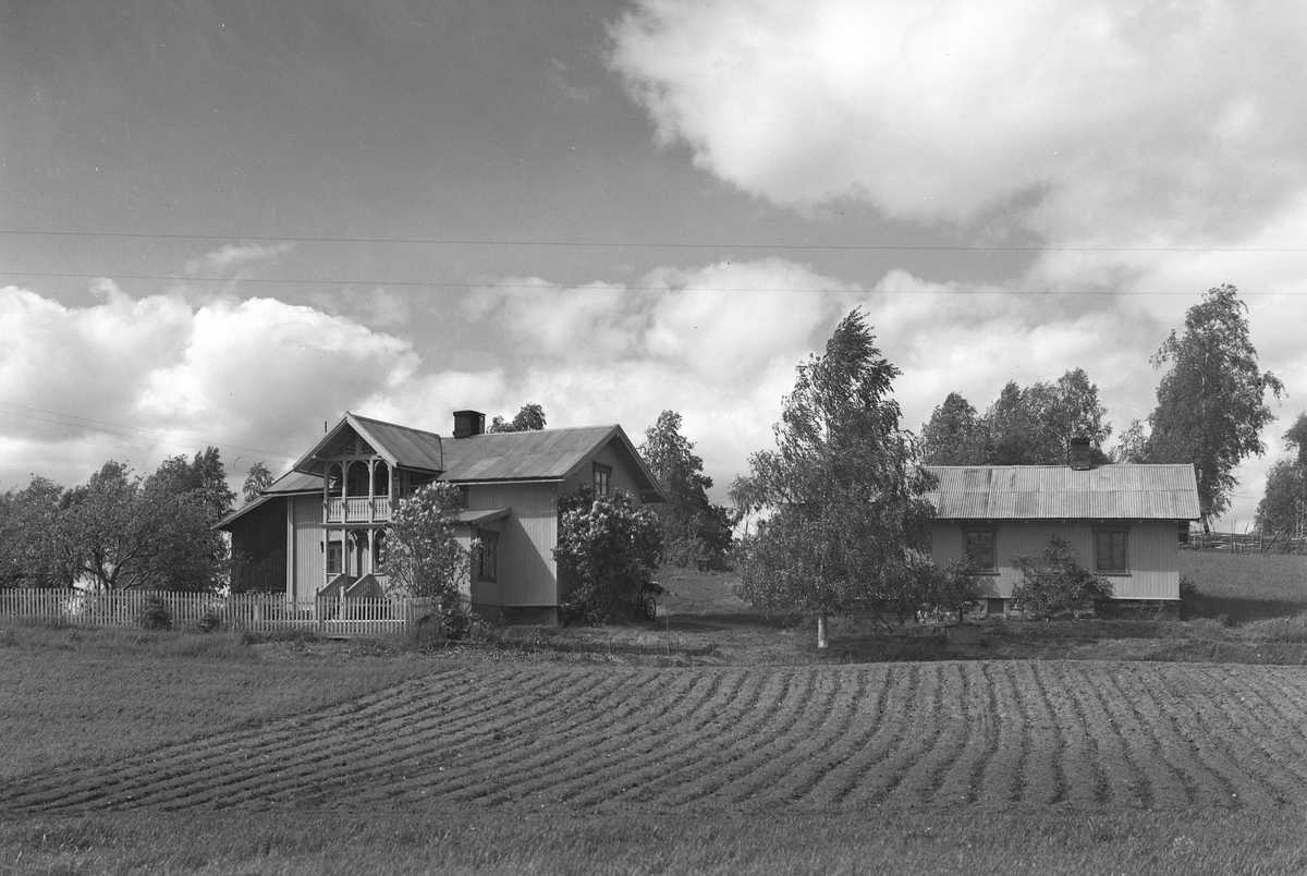 Anno Domkirkeodden, EKSTR: GARDSTUN, HOEL. Se Løtenboka, bind 1. Bygdeboka fra 1949, side 317