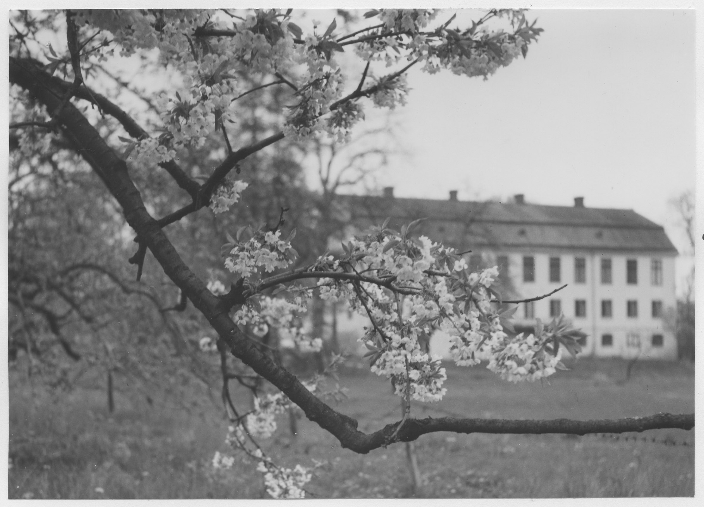 Mårten Sjöbeck, Hammar sätesgård