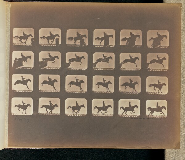 Eadweard J. Muybridge, Leaping