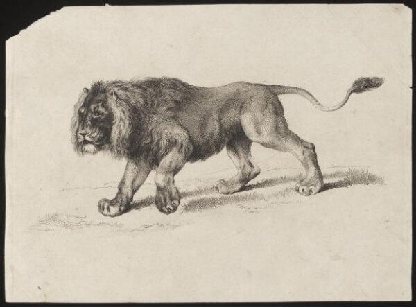 Unknown, Print