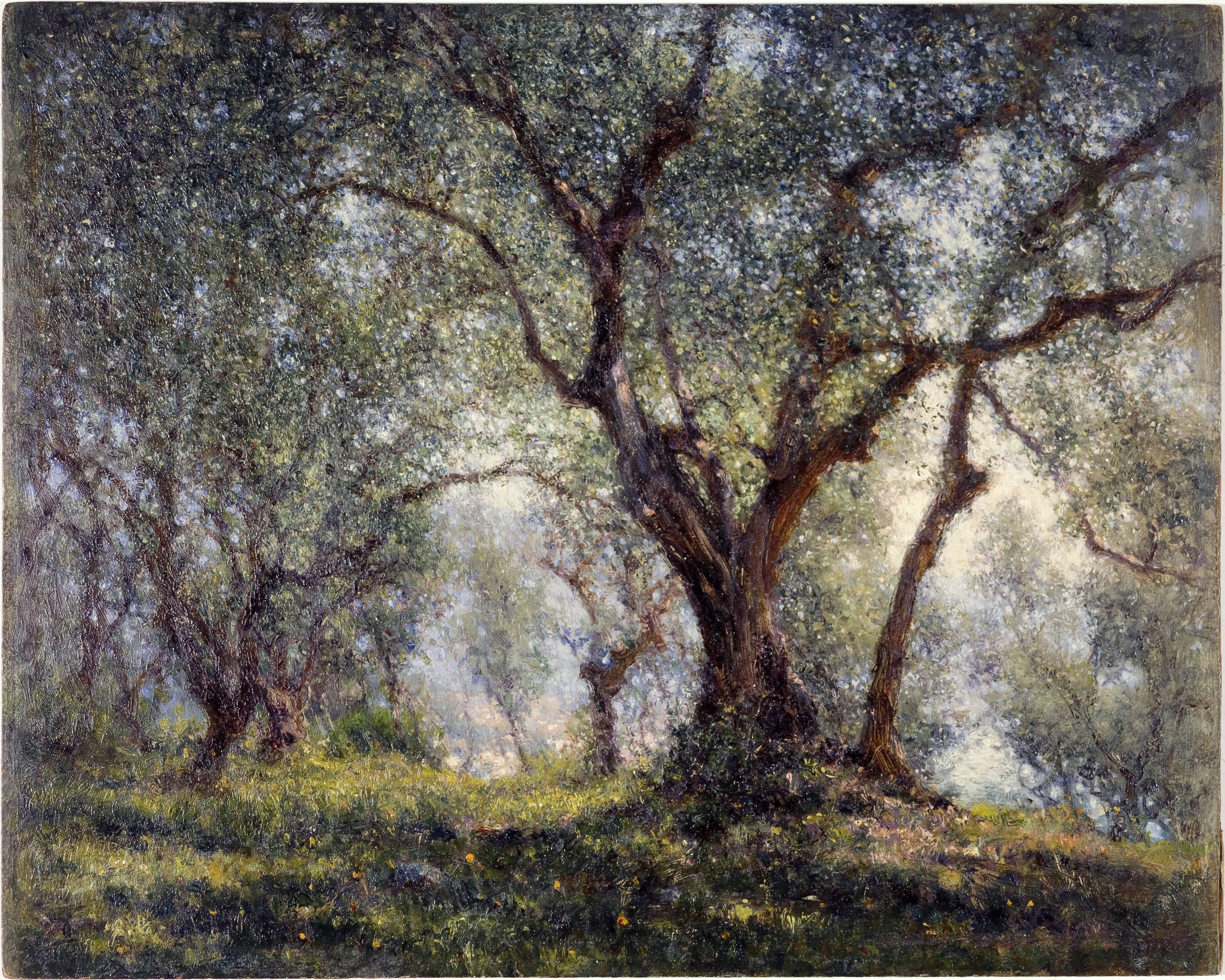 Henry Brokman, Les oliviers à Menton