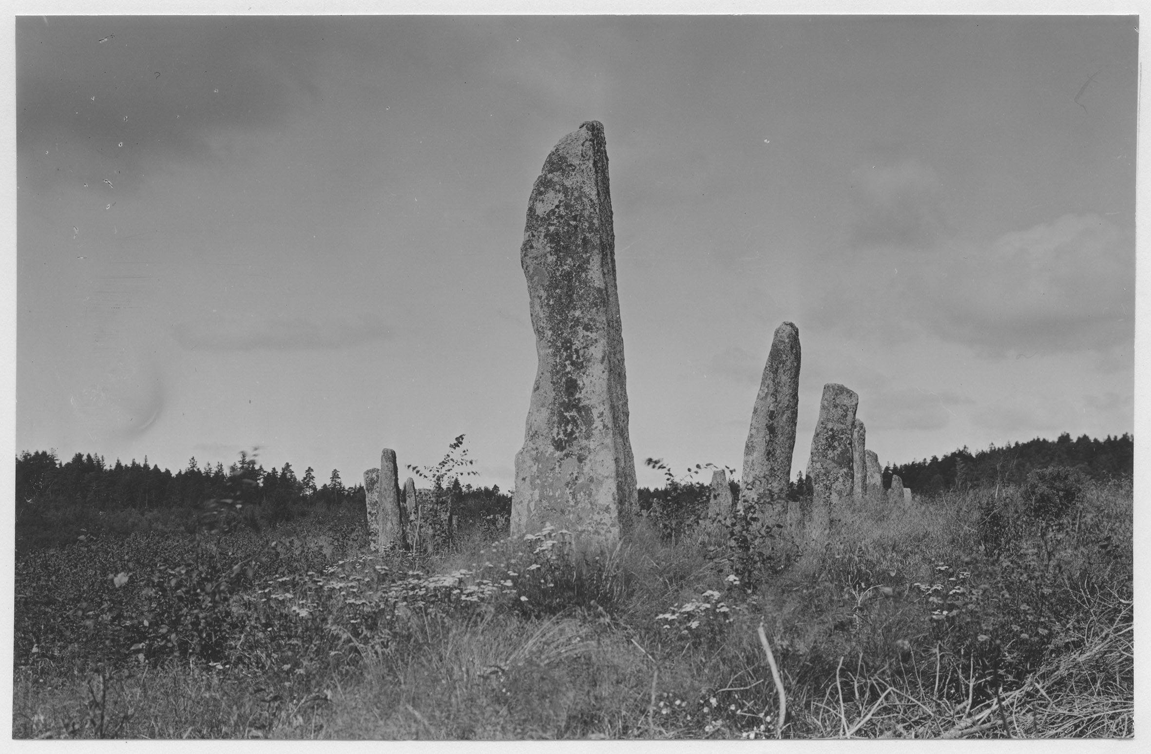 Mårten Sjöbeck, Blomsholm, skeppssättning