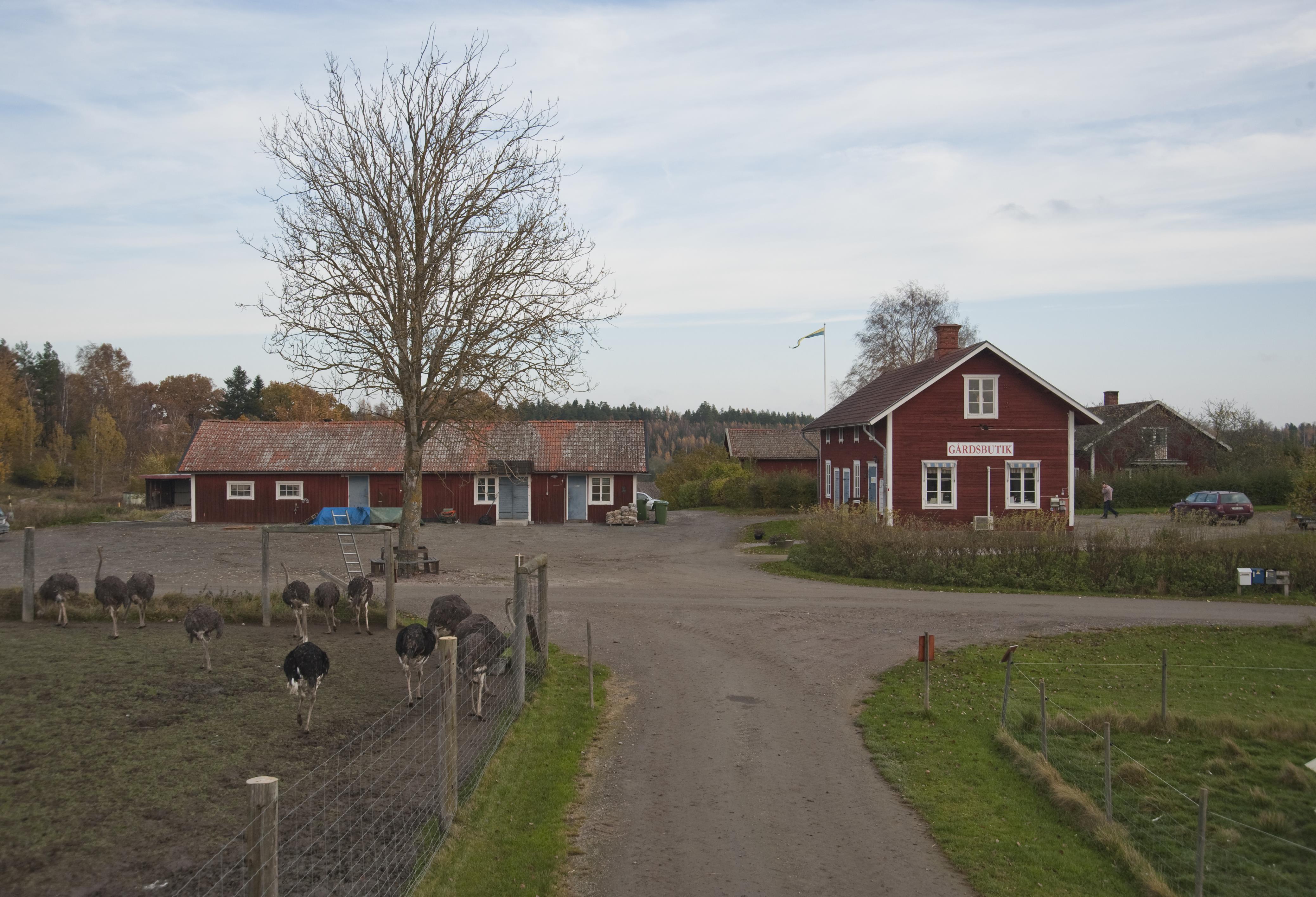Bengt A Lundberg, Jönåker