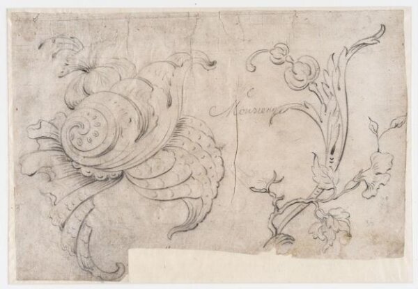 unknown, Drawing