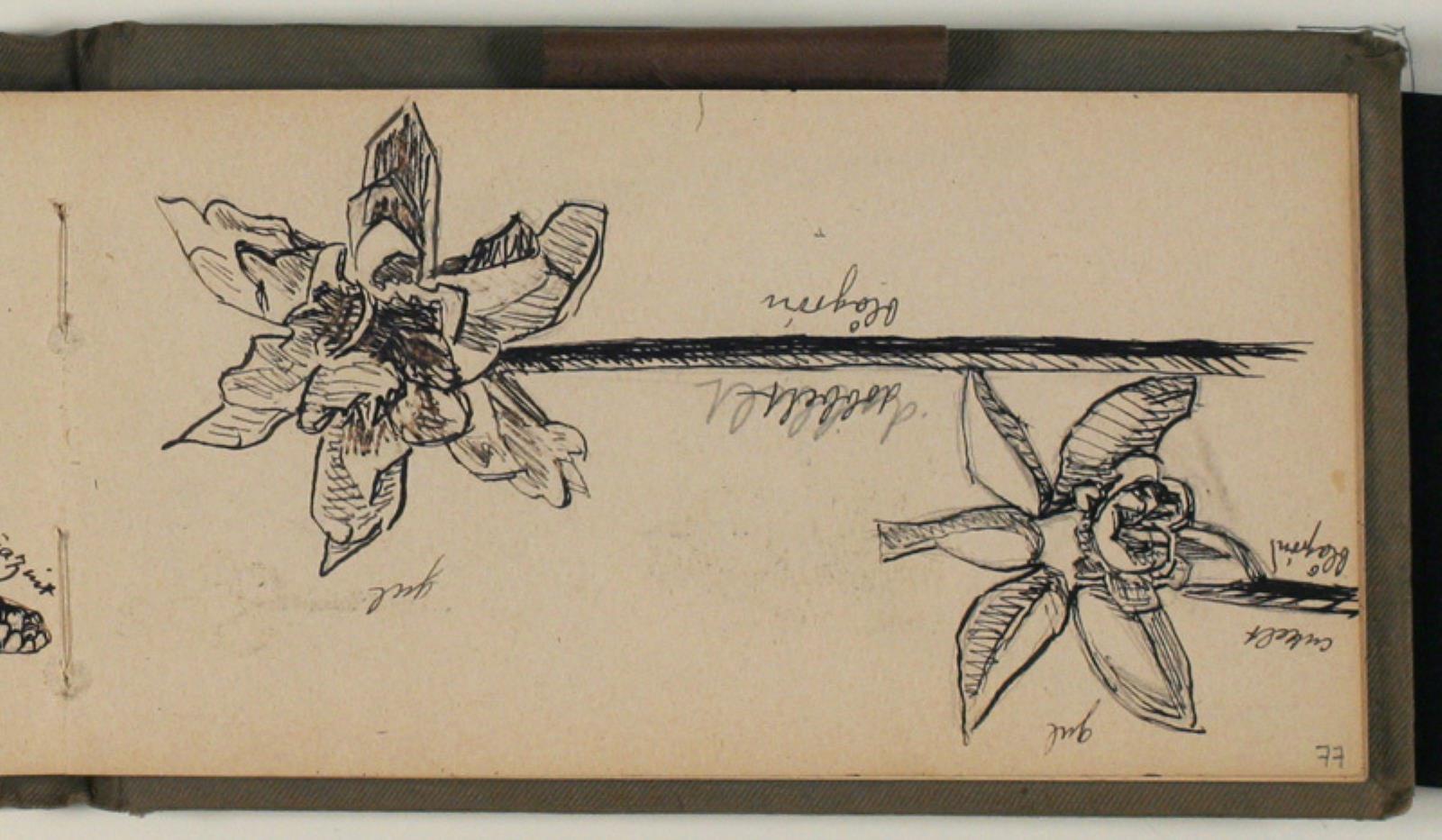 Niels Larsen Stevns, Studier af blomster med ats- og farveangivelser