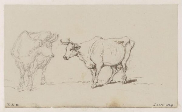 George Chinnery, Two drawings of a cow