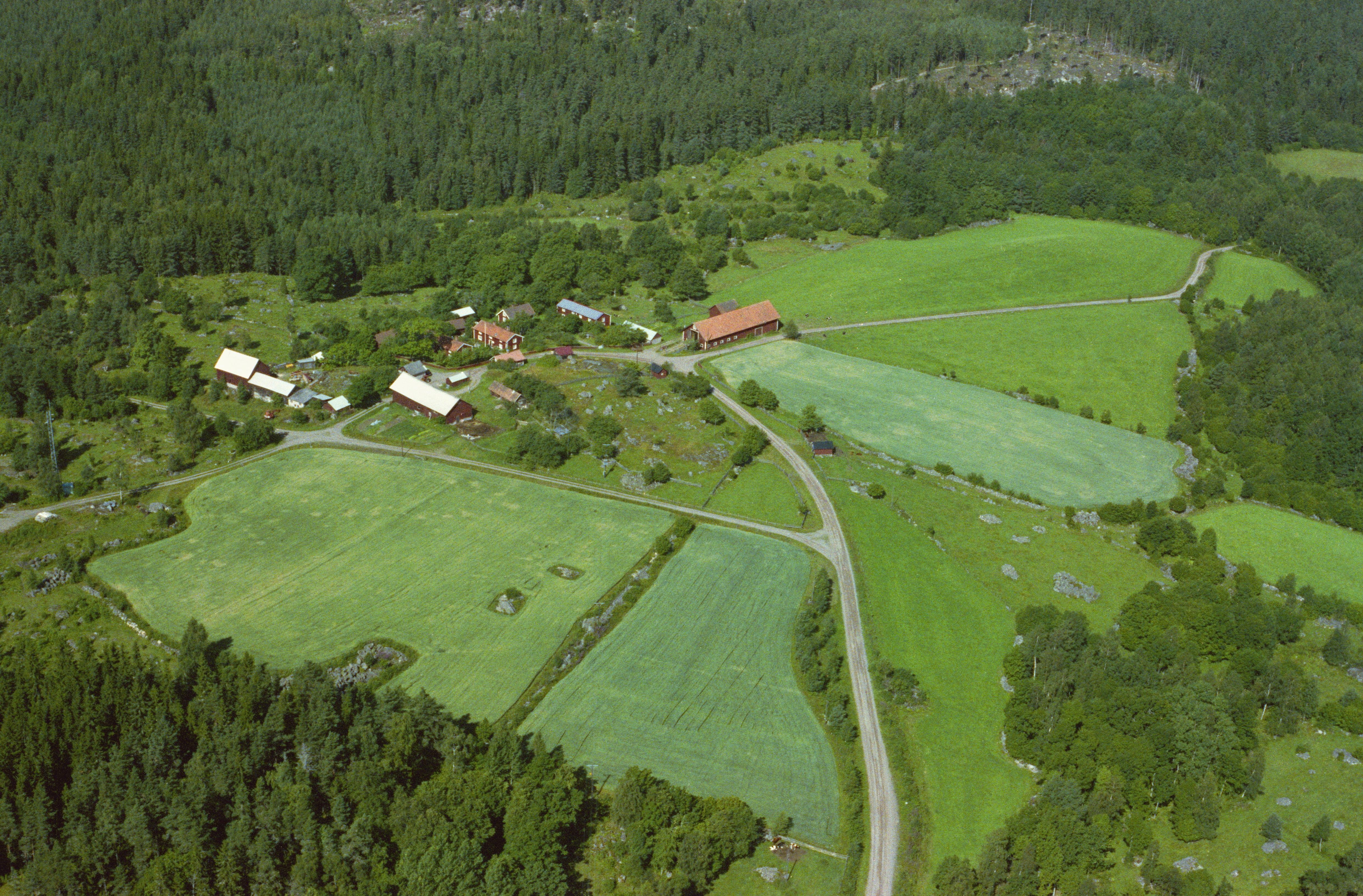Jan Norrman, Kisa 19:1