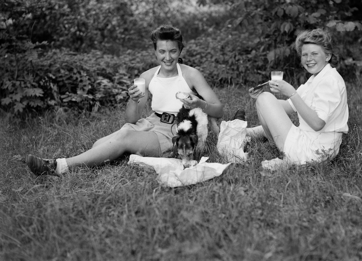 Paul Sandberg, Young women take a workload at a deciduous point on a little farmyard, Almunge. Community action organised by the County Labour Board in Uppsala County