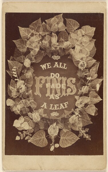 Unknown, We All Do Fade As a Leaf. Finis.