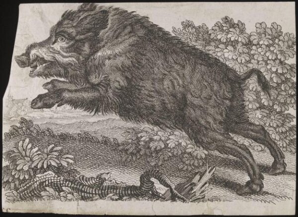 Unknown, Print