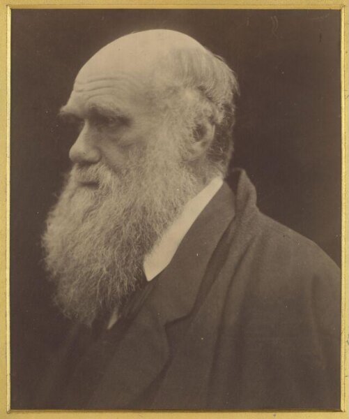 Cameron, Julia Margaret, Charles Darwin