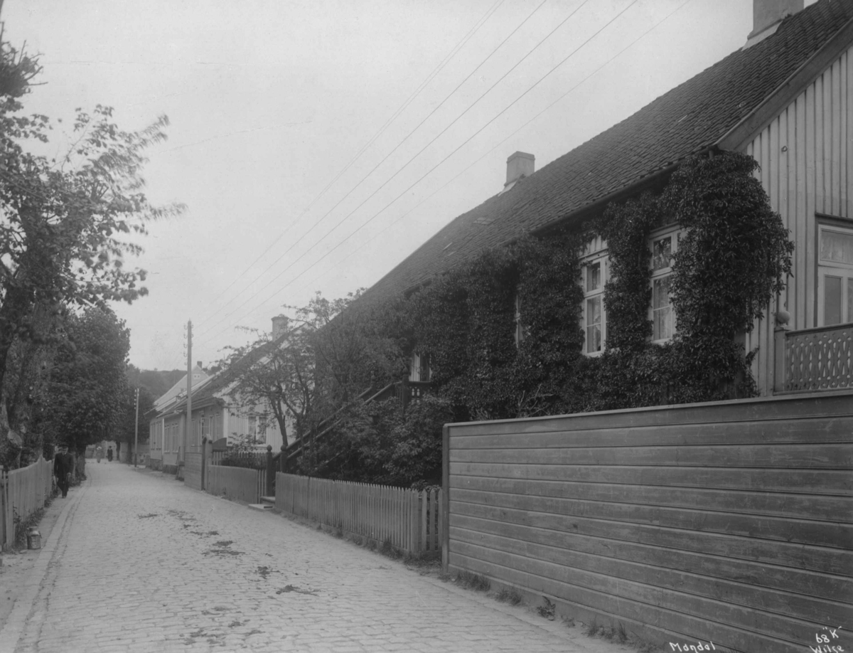 Anders Beer Wilse, Mandal 1