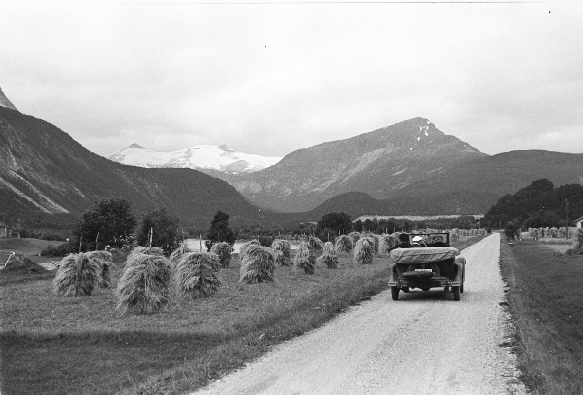 Anders Beer Wilse, Prot: Beiardalen korn på staver Fritt Folk