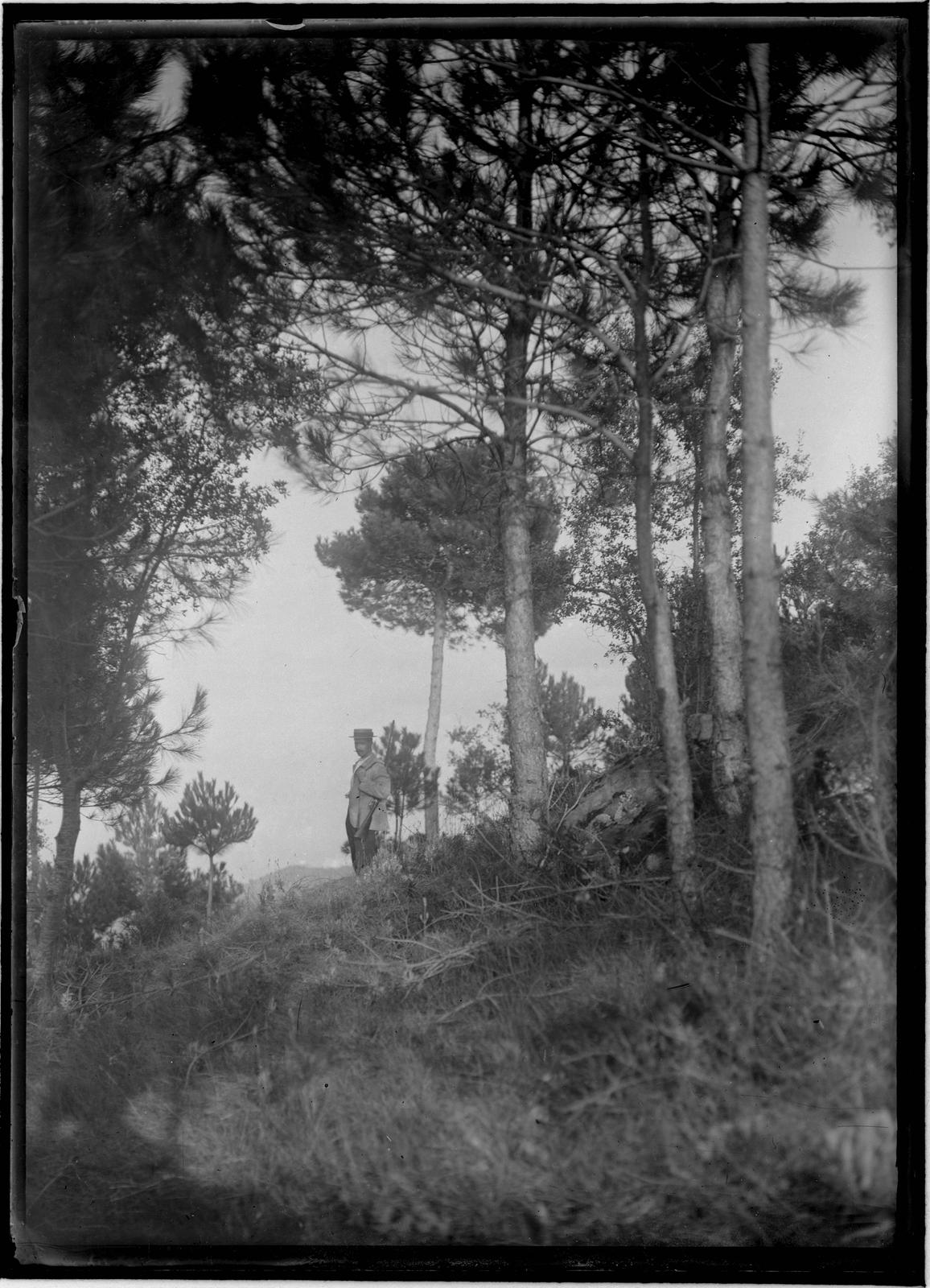 Desconegut, [Forest]