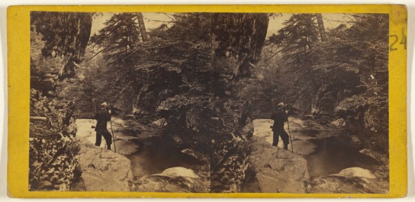 Edward and Henry T. Anthony & Co., The Glens of the Catskills. Looking down the Kauterskill, from New Laurel House.