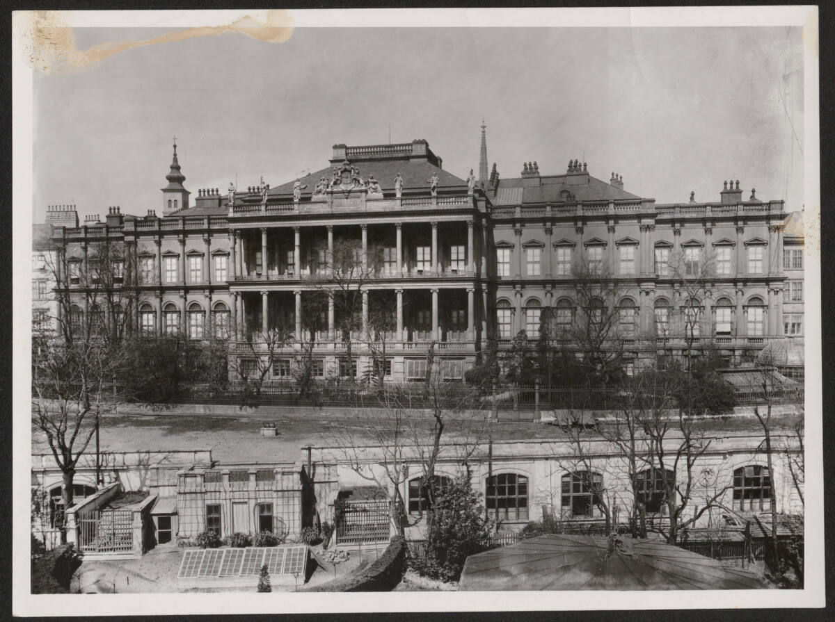 Anonym, Reproaufnahme nach älterer Fotografie: Palais Coburg, Gartenbaugründe