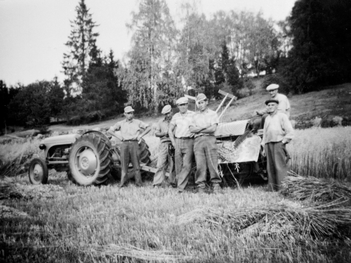 Anno Domkirkeodden, Skuronn på Kinnli lille, Ringsaker. Traktor "Gråtass" med 1918 modell Deering selvbinder. Fra venstre er Halvor Amb, Kåre Simensen, Ole Halvardsen, Helge Lehne, Ivar Amb. Gardbruker Gustav Amb på binderen. Gråtass kom til gården i 1952. Byttet uti 1958 med dieseltraktoren Fordson Dekstra.