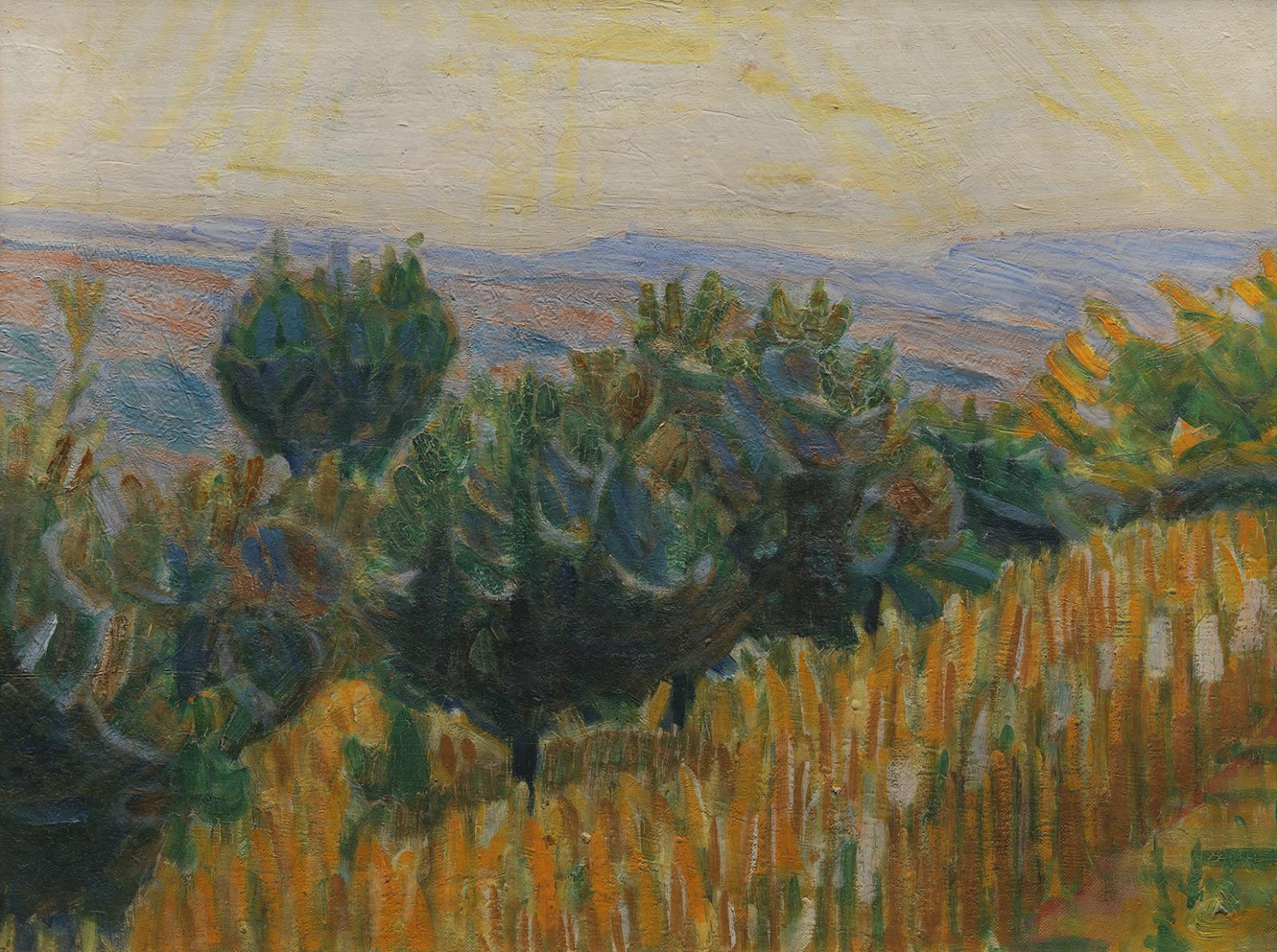 Niels Larsen Stevns, Vignen mod lyset. Hvedemark i forgrunden. Villa Linda, Florens