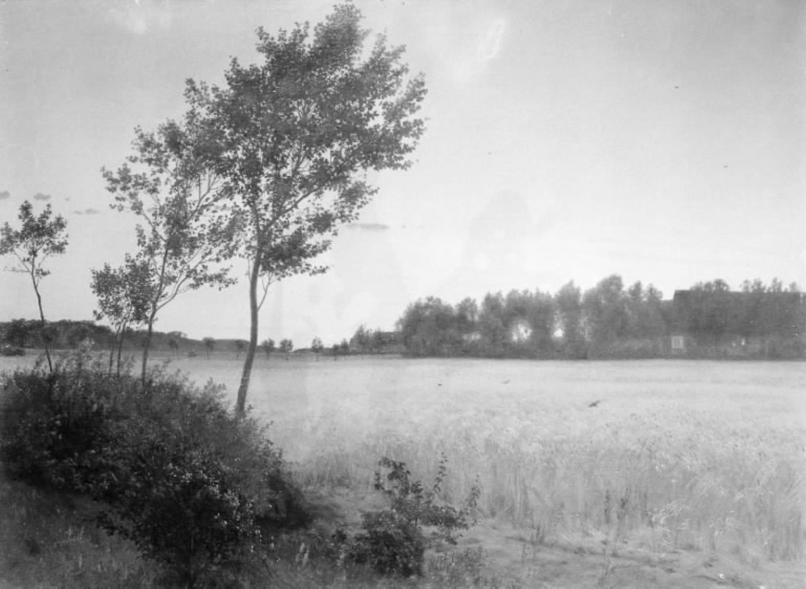 Vilhelm Kyhn, Juniaften. Landskab ved Rørvig