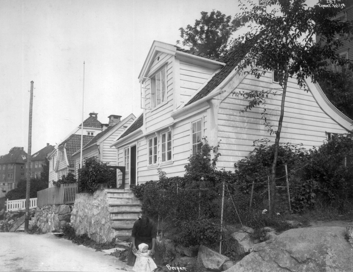 Anders Beer Wilse, Topografi, Y. Sandviken