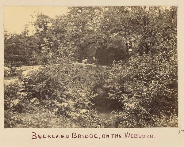 Unknown, Buckland Bridge on the Webburn
