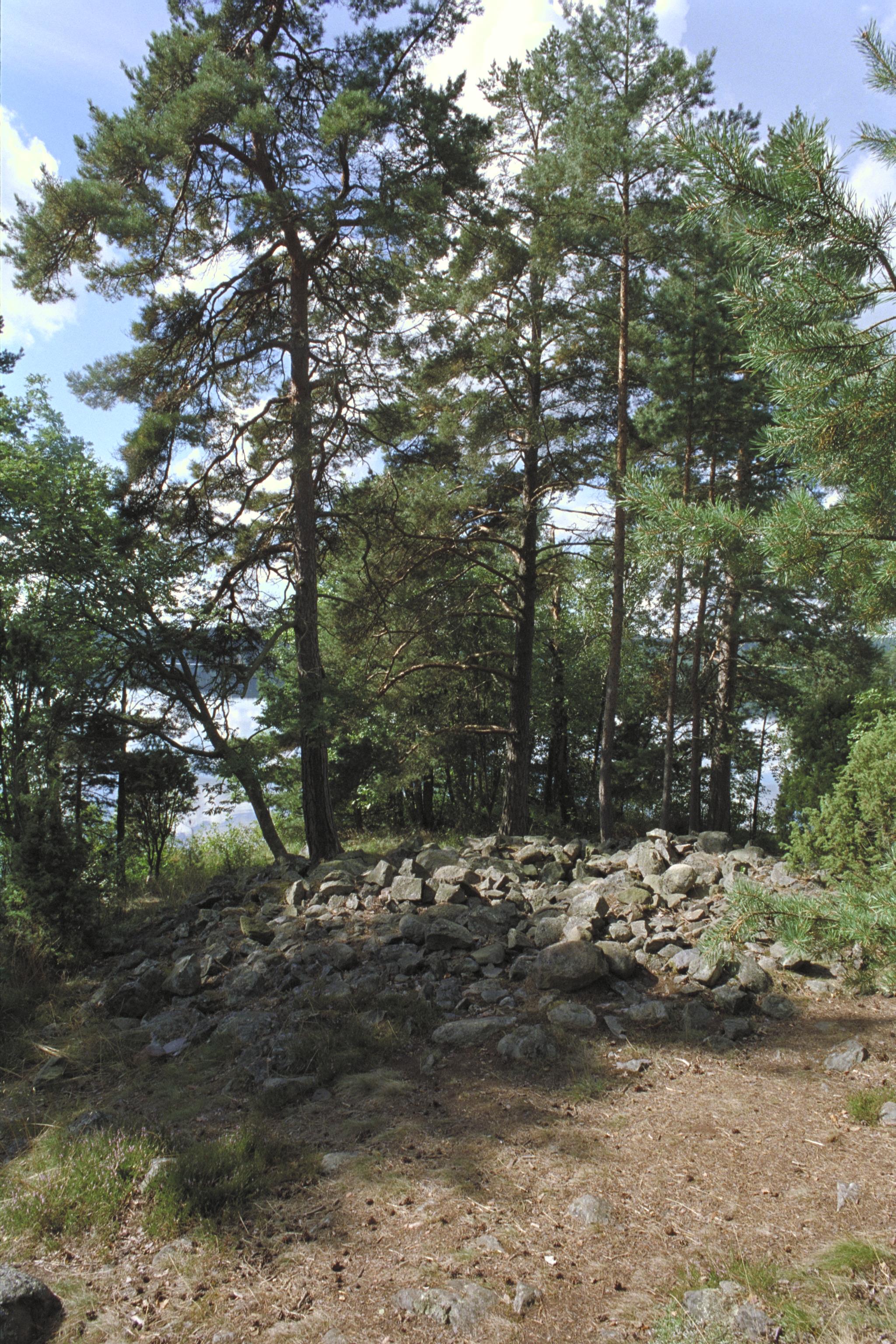 Bengt A Lundberg, Tisselskog 16:2