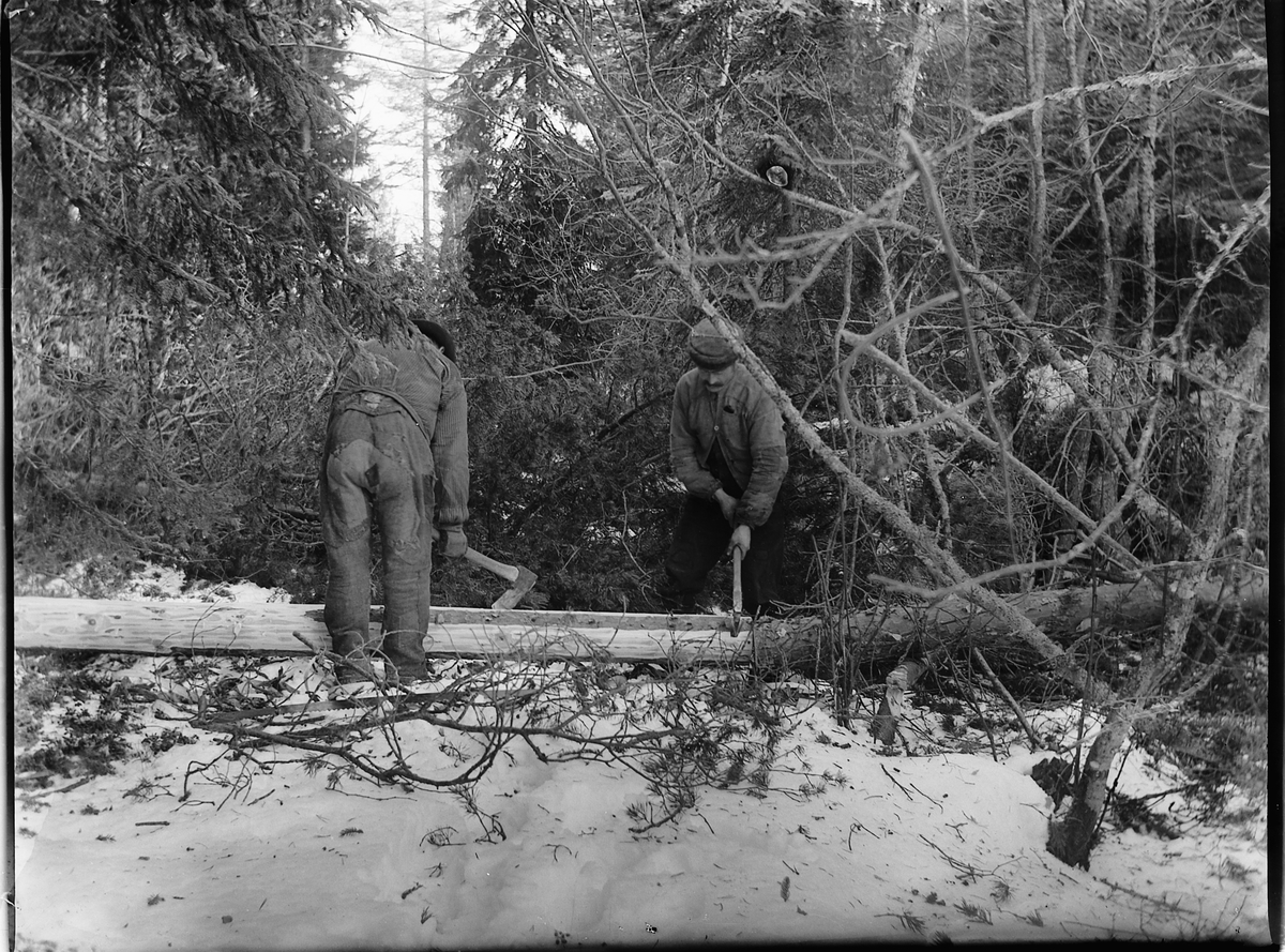 Ole Hansen Løken, SKOGBRUK, TO UKJENTE MENN BARKER OG ØYER TØMMERSTOKK.