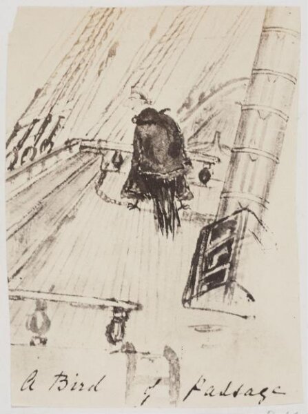 Unknown, Photograph