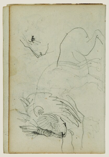 Théodore Géricault, Lion studies