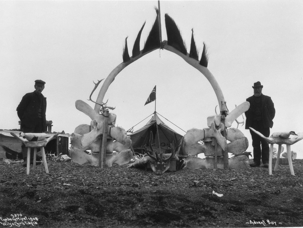Anders Beer Wilse, Prot: Klaus Thues Kuriositets utsalg Advent Bay 19/8 1908