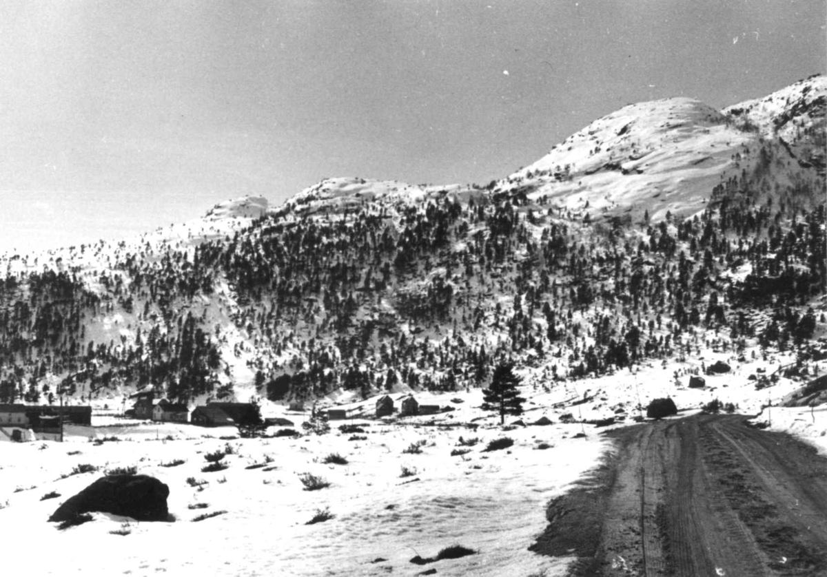 Anna Grostøl, Oversiktsbilde med vei og bebyggelse fra Netland mot Bakke, Kvinesdal 30. mars 1939.