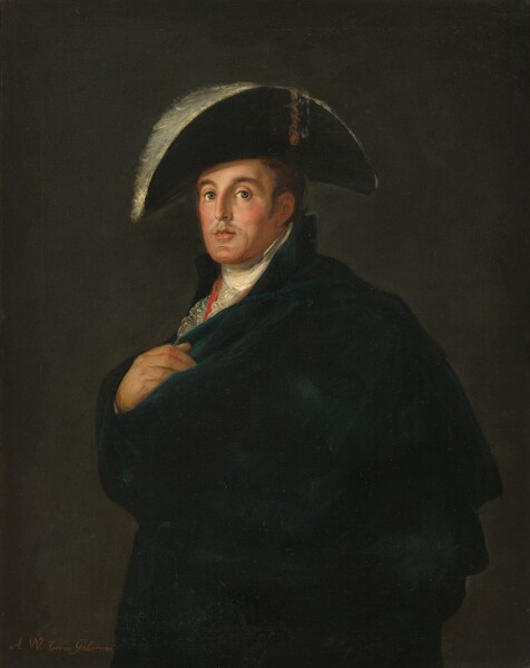 Workshop of Francisco Goya, The Duke of Wellington