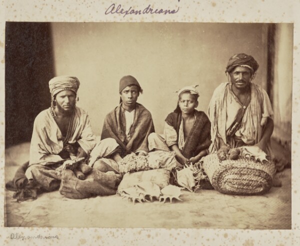 Unknown, Alexandrians