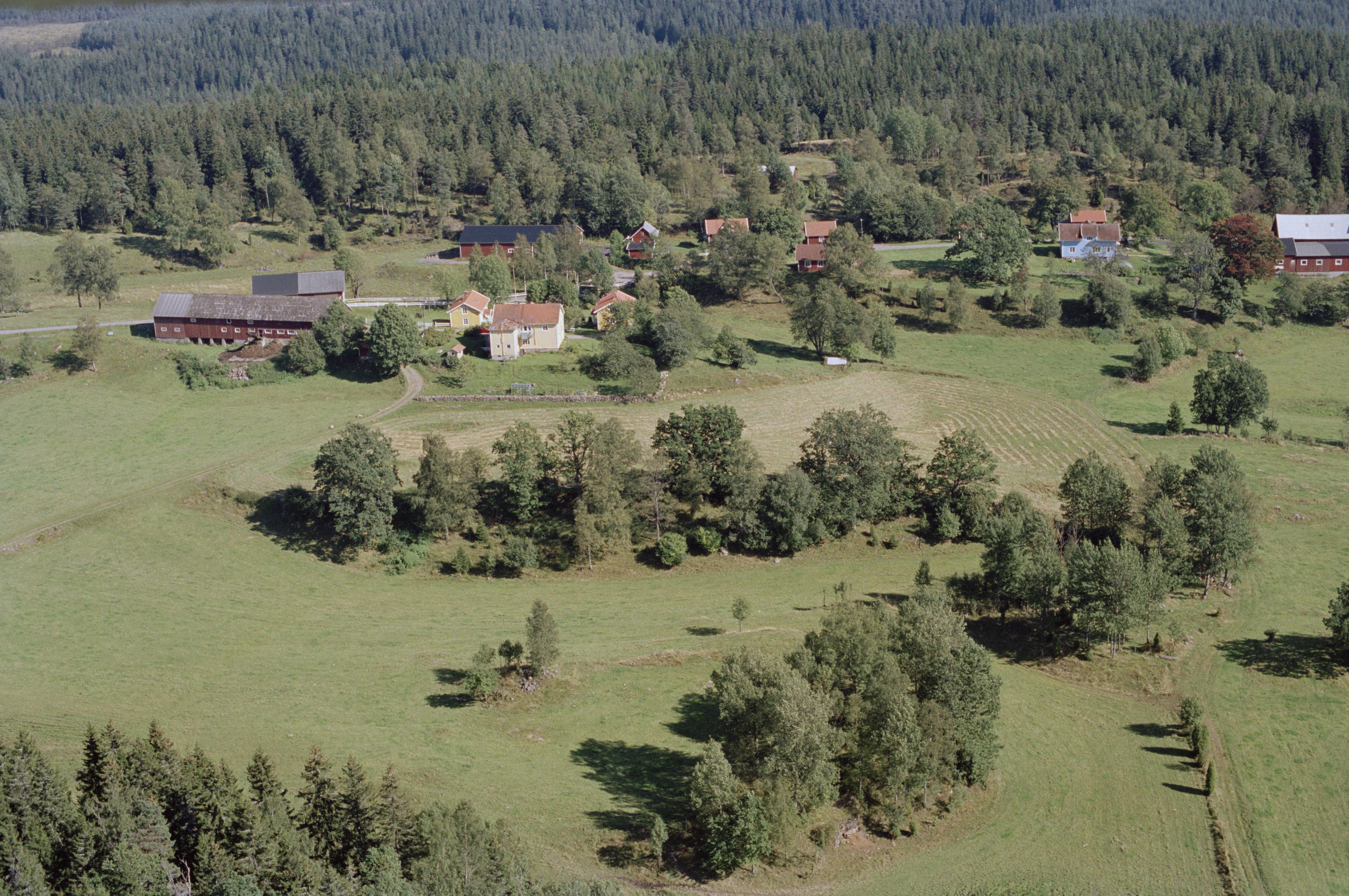 Jan Norrman, Pålskog