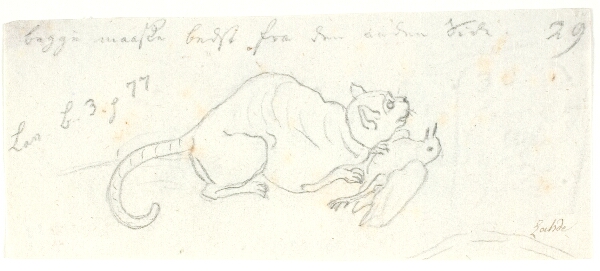 Gerhard Ludvig Lahde, Kat med fugl