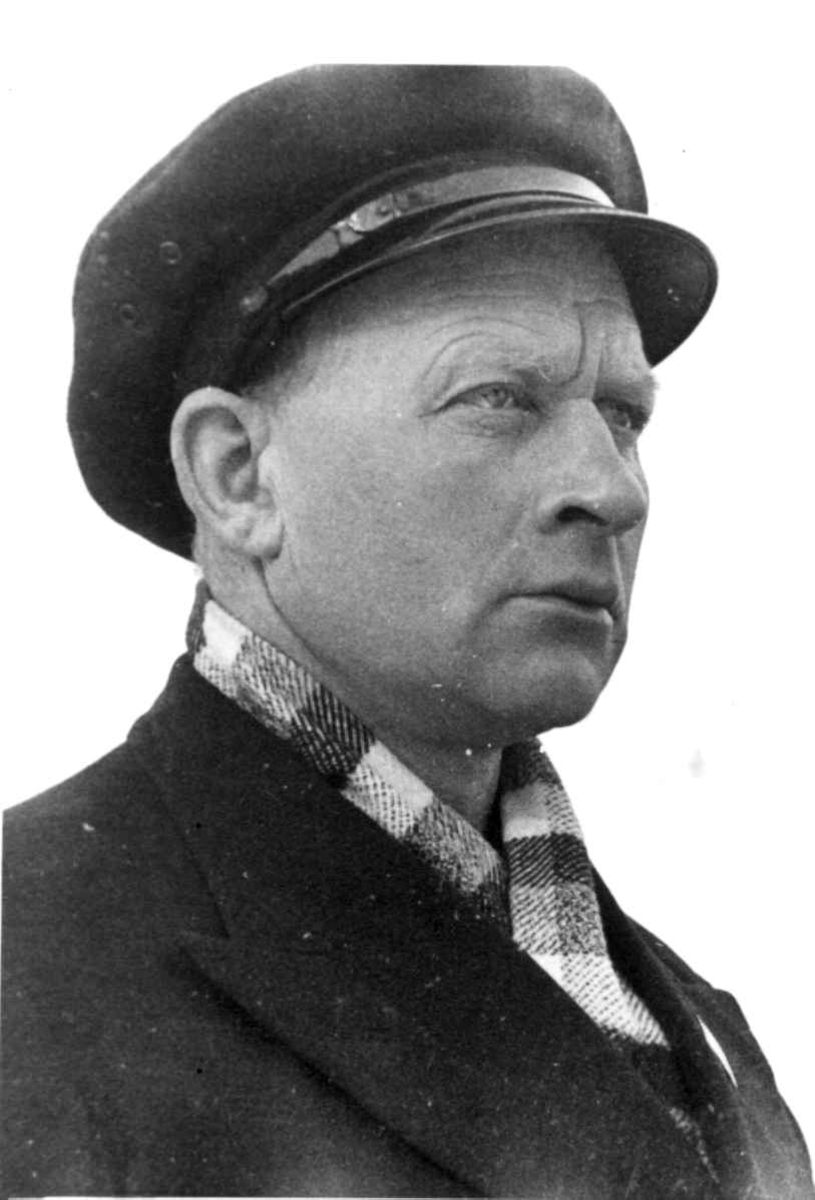 Anders Beer Wilse, Lofotfiske