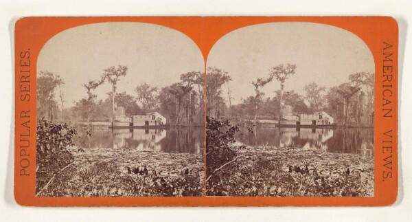 Edward and Henry T. Anthony & Co., Silver Springs. General View. [on the Ocklawaha River, Florida]