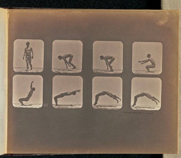 Eadweard J. Muybridge, Incomplete