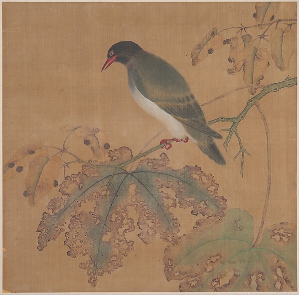Unidentified artist, Bird on Branch