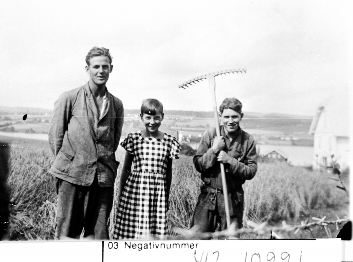 Anno Domkirkeodden, 3 personer i arbeid med meiiing rundt åkeren på Øvre Sund, Helgøya. Fra venstre er Gunnar Sund f.1911, Else Bakkerud f.1922, Magne Jørstad f.1913 med rive. Dalby til høyre i bildet, Nessundet og Nes Kirke i bakgrunn.