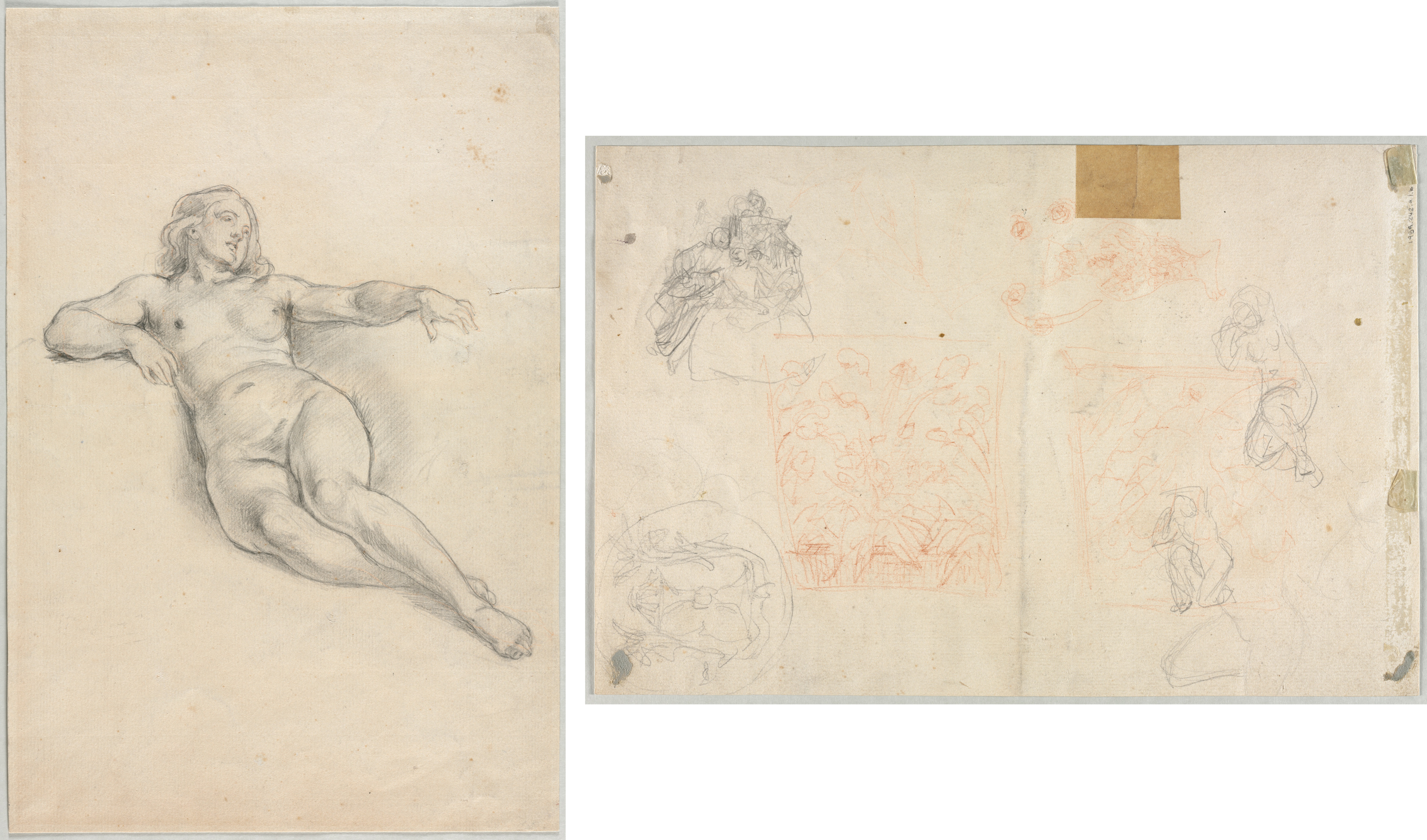 Anonymous, Reclining Female Nude (recto); Various Sketches of Figures and Plants (verso)