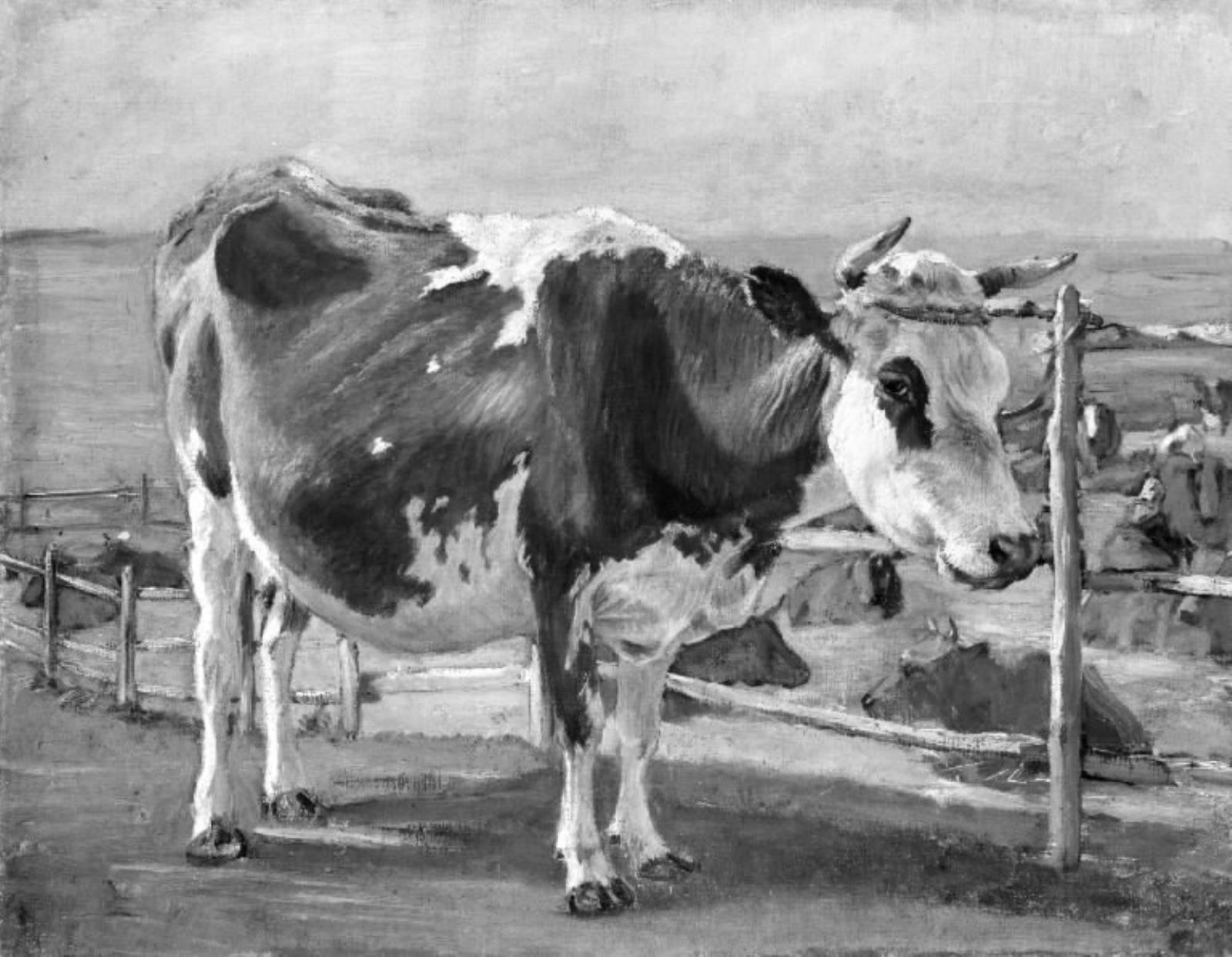 Theodor Philipsen, Stående rødbroget ko