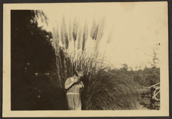 Louis Fleckenstein, [Child Standing Before Rushes]