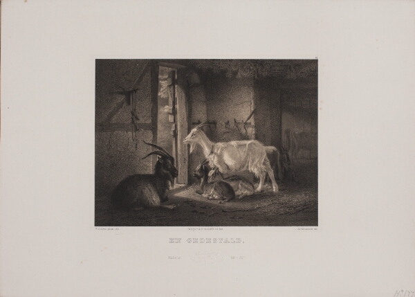 Adolph Kittendorff, En gedestald