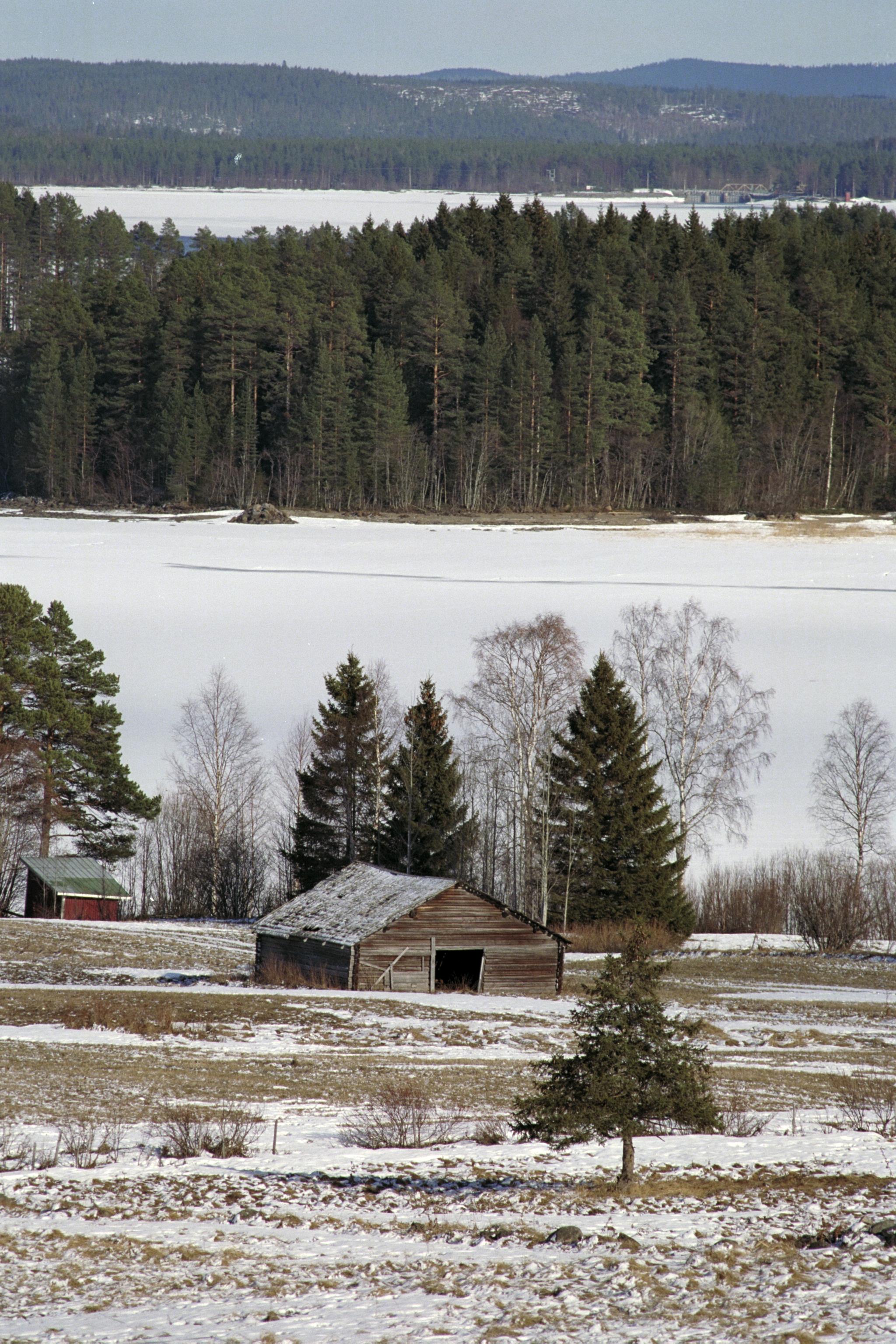 Bengt A Lundberg, Hallviken