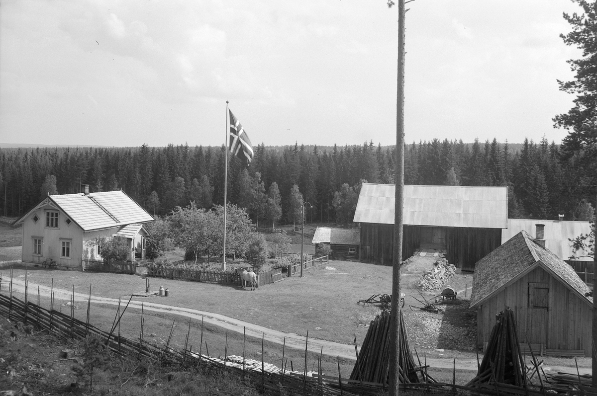 Anno Domkirkeodden, EKSTR: GARDSTUN, KNUTSDALEN. Se Løtenboka, bind 3. Bygdeboka fra 1955, side 493