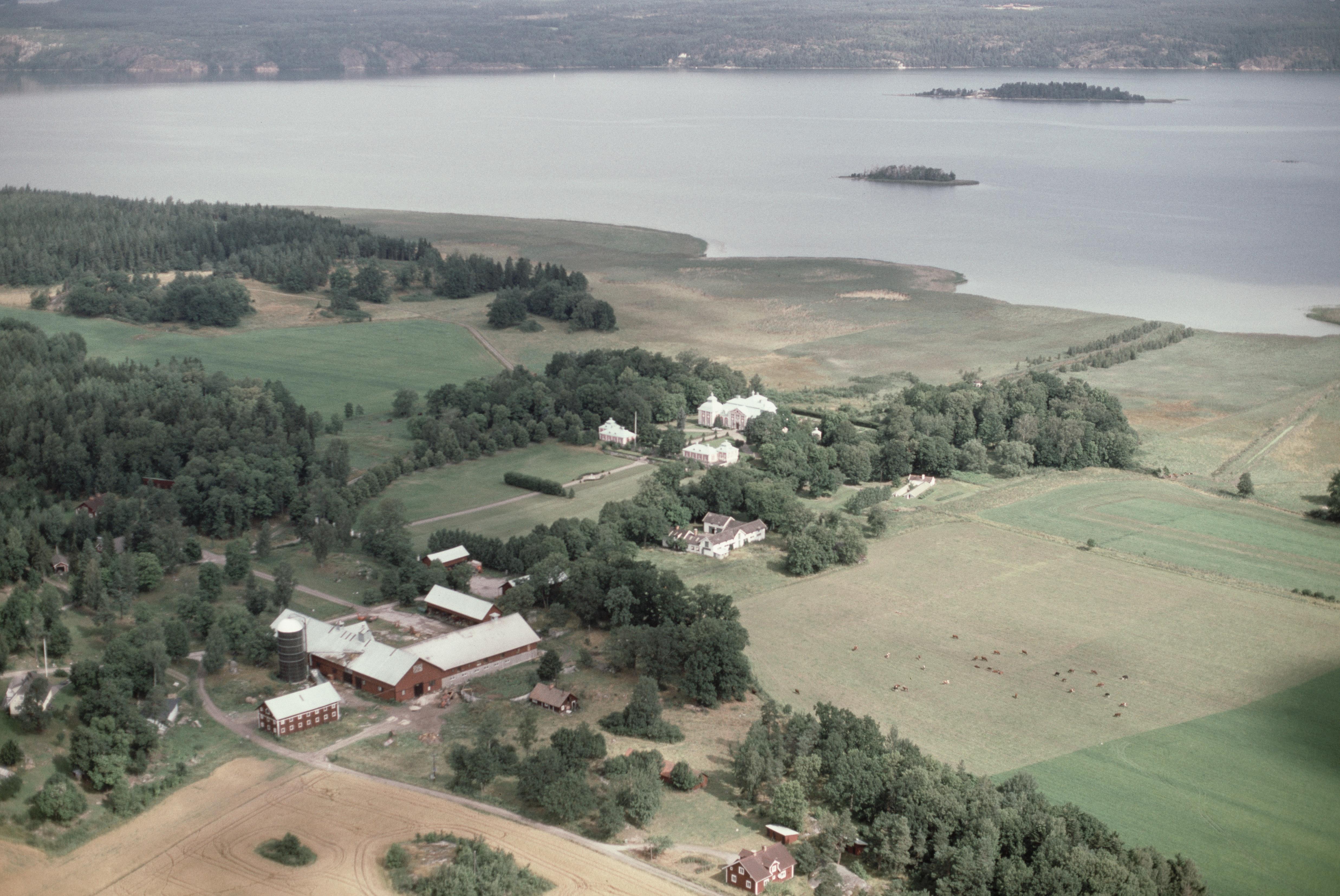 Jan Norrman, Östra Stenby 175:1